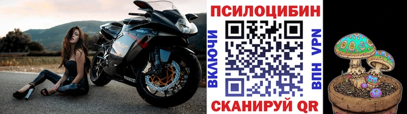 Галлюциногенные грибы прущие грибы  Купить где  Ачинск 